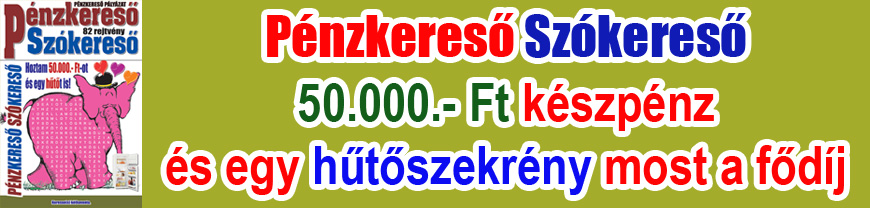 Pénzkereső Szókereső