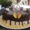Krémes-habos csokoládé torta